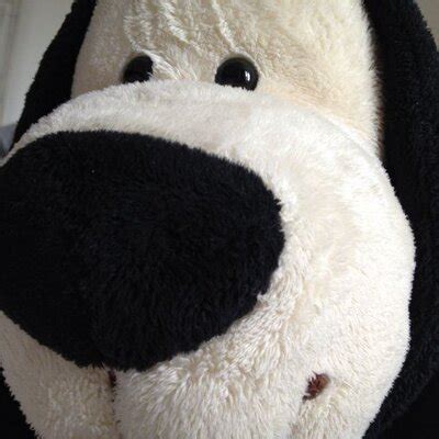 Doogle dog (@Doogle_dog_) | Twitter