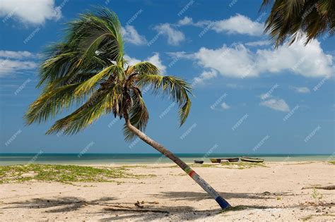 Premium Photo Colombian Beach