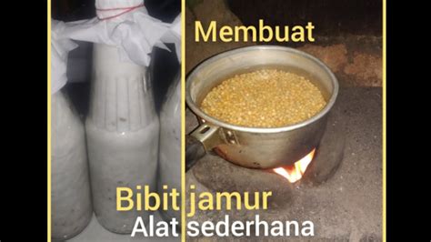 Cara Membuat Bibit Jamur Tiram Dengan Alat Sederhana Membuat Bibit