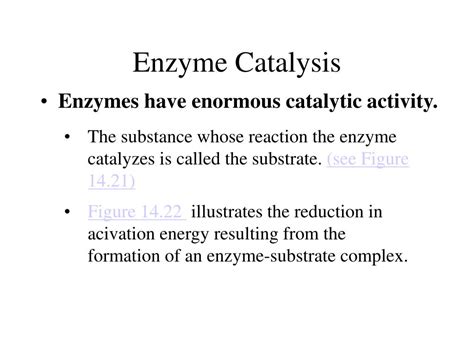 Ppt Enzyme Catalysis Powerpoint Presentation Free Download Id3650426