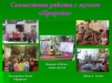 Экологическое воспитание дошкольников через ознакомление с природой ...