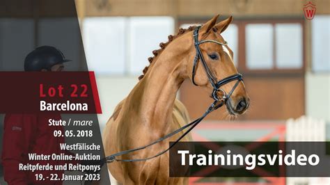 Winter Online Auktion Training Lot 22 Barcelona Stute V Baron DK