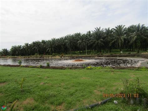 Penguatkuasaan Dan Pemeriksaan Ke Atas Kilang Kelapa Sawit Di Kluang