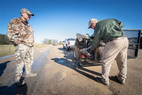 Alabama Wff Ramps Up Cwd Sampling Effort Outdoor Alabama