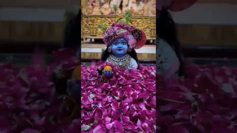 Jai Shree Krishna Shorts Viralvideo Youtubeshort Subscribe Youtube
