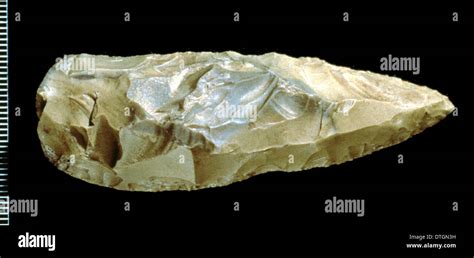 Neanderthal spear point Stock Photo - Alamy
