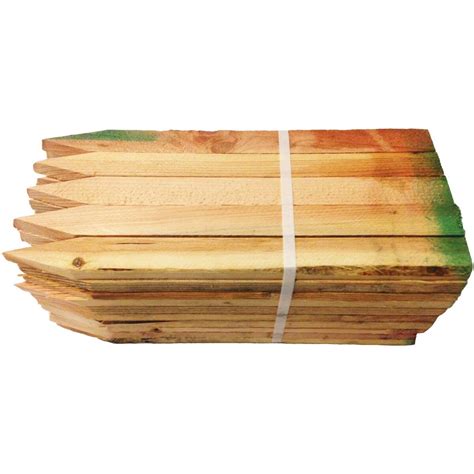 18 In Wattle Stakes Siteone