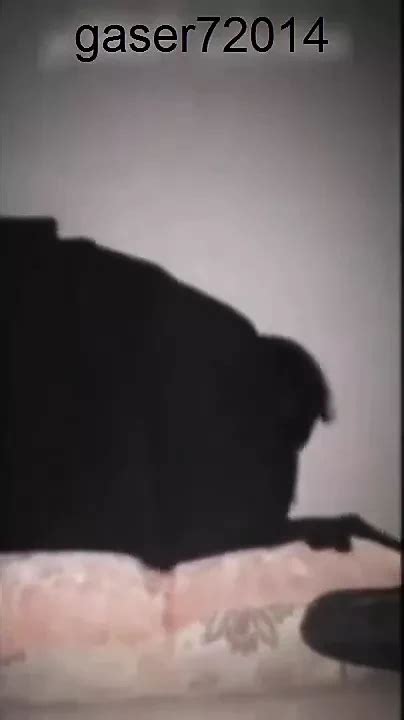 Masry Benek Sharmota Monaqba Hayga Mtgoza Free HD Porn 75 XHamster