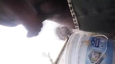 Dick Gay Blowjob Blowjob Porn Feat Md78623 XHamster