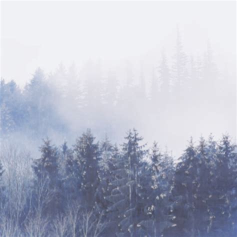 All My Life Long Porn Photo Pics