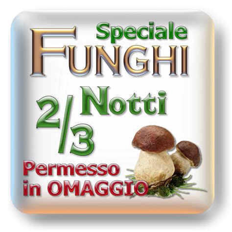 Finferli Che Funghi Sono Come Riconoscerli E Come Cucinarli