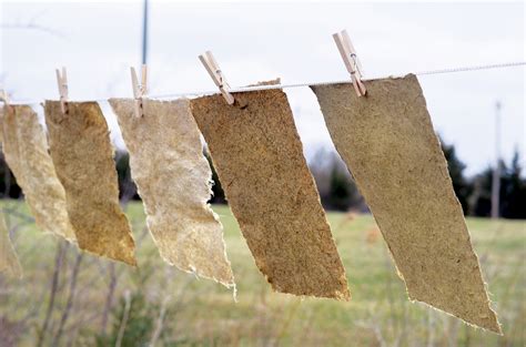 How To Make Paper From Plants Mother Earth News