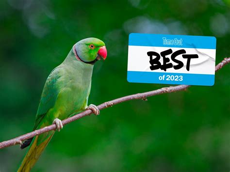 Time Outs Biggest London News Stories Of 2023 Lia London