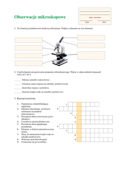 Karta Pracy Obserwacje Mikroskopowe Obserwacje Mikroskopowe Na