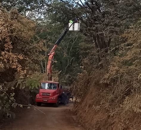 CORTANDO O PROBLEMA PELA RAIZ Prefeitura realiza poda e supressão