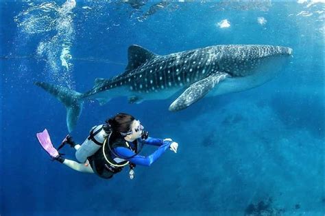 Serunya Destinasi Wisata Bone Bolango Indonesia Traveler