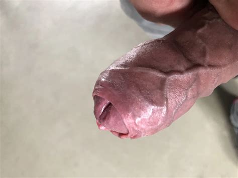 Mein Schwanz Hart Mit Ring Nude Pics Xhamster