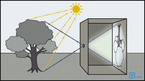 Camera obscura jeb iepazīstam fotoaparāta priekšteci Pētniecības