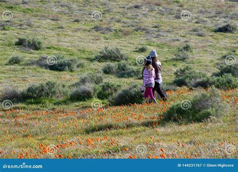 Madre De Latina E Hija Delante Del Campo De La Amapola De California Del Desierto En La