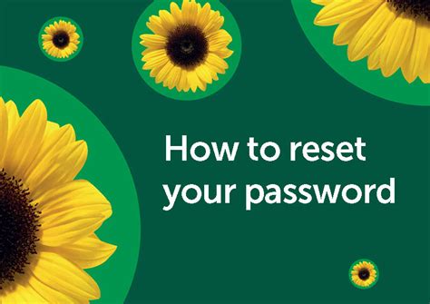 How to reset your password