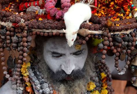 Indian Naga Sadhu Naked Holy Man Editorial Stock Photo Stock Image Shutterstock