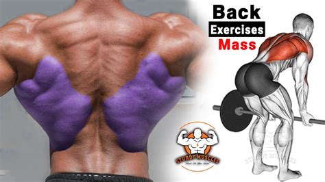 How To Build Wide Back 7 Most Effective Exercises Youtube