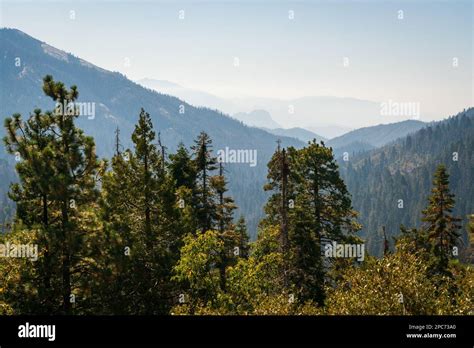 Giant Sequoia National Monument, California Stock Photo - Alamy