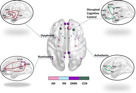 A Brain Network Model For Depression From Symptom Understanding To