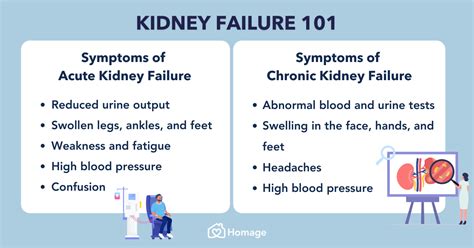 Kidney Failure 101: Symptoms, Stages, Causes & Prevention - Homage Malaysia