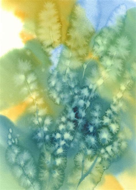 Pussy Willow Twigs Yellow Watercolor Stock Illustrations Pussy