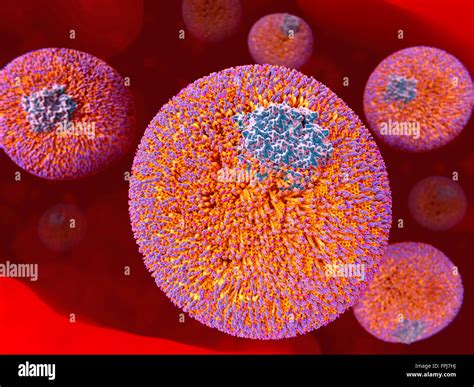 density lipoprotein high resolution stock photography  images