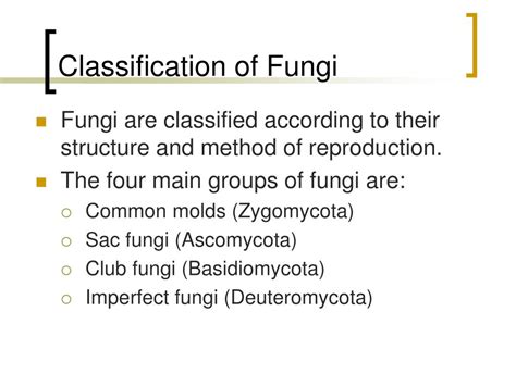 Ppt Classification Of Fungi Powerpoint Presentation Free Download Id 2978596