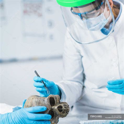 Bioarcheology female scientists analyzing human skull in ancient DNA