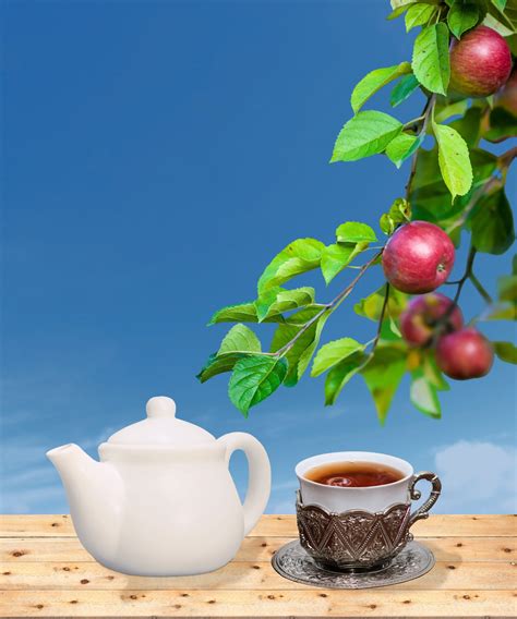 cup  tea  stock photo public domain pictures