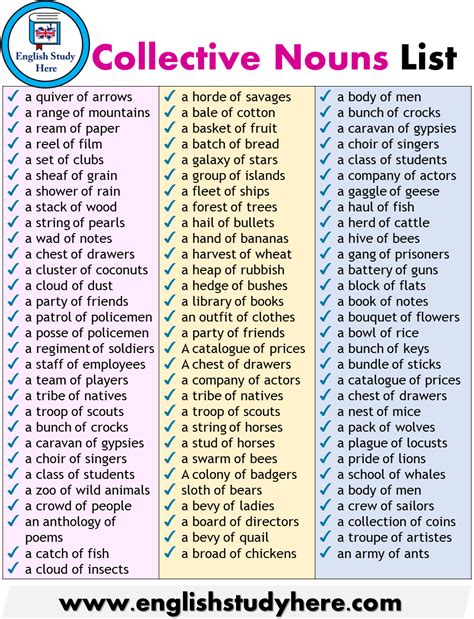 Collective Nouns List English Study Here