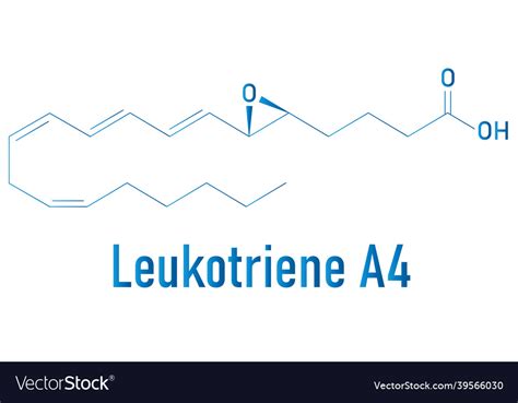 Leukotriene A Lta Molecule Skeletal Formula Vector Image