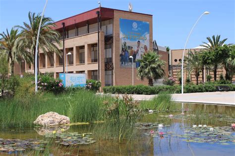 University Of Almería Partner University Eseo