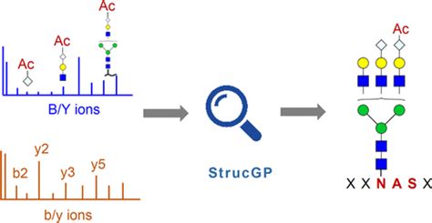 Precision Characterization Of Site Specific O Acetylated Sialic Acids