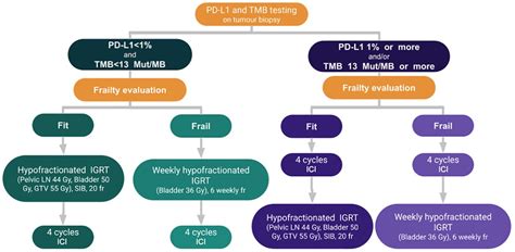 Frontiers Immunotherapy And Radiotherapy For Older Patients With