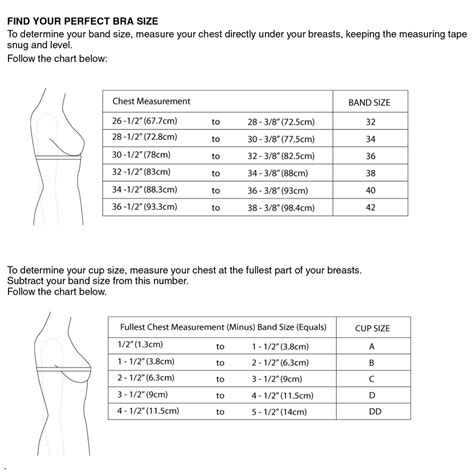 Sports Bra Size Calculator Zyvol
