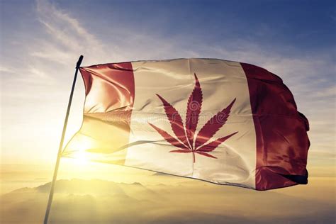 Canada Flag Weed Stock Illustrations – 3 Canada Flag Weed Stock Illustrations, Vectors & Clipart ...