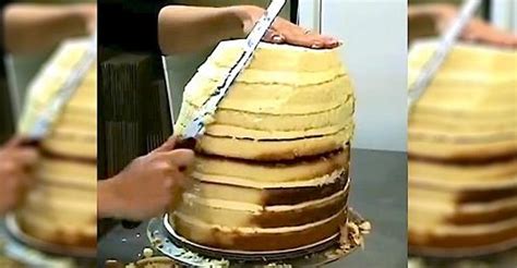 Looks Like A Normal Layer Cake, But Minutes Later? I’m SPEECHLESS ...
