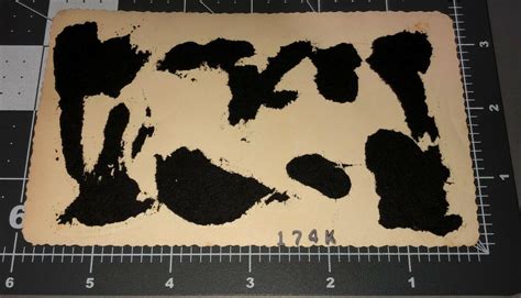 S Shirtless Muscle Men Beefcake Man Swimsuit Vintage Gay Int Snapshot Photo