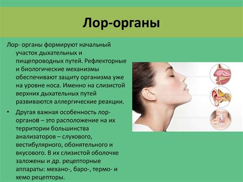 Оториноларингология. Лекция 1 - презентация онлайн