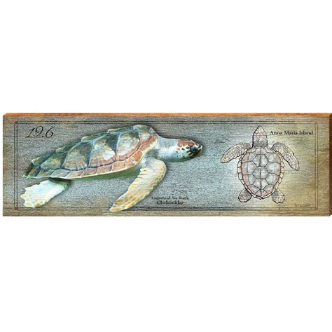 Anna Maria Island Loggerhead Sea Turtle Study SAN1 - Etsy