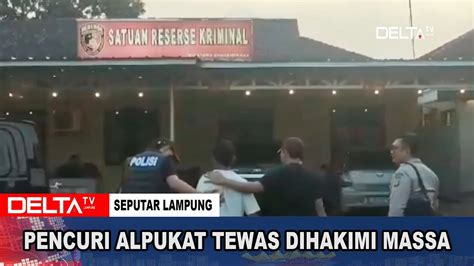 PENCURI ALPUKAT TEWAS DIHAKIMI MASSA YouTube