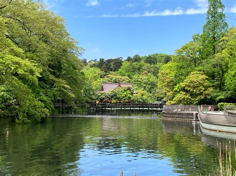 井の頭恩賜公園から玉川上水緑道を経て、世田谷の小京都、烏山寺町を訪ねる：jr東日本駅からハイキング 2023年04月16日 登山・山行