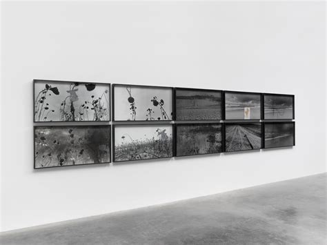 Leviathan Und Behemoth 2x5 Aufnahmen By Anselm Kiefer White Cube