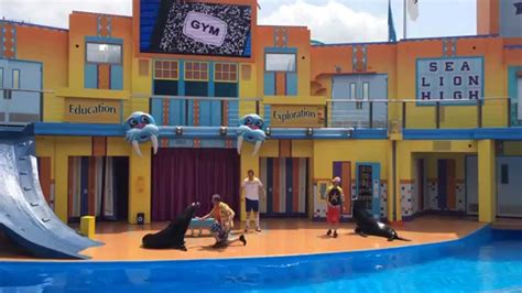 Clyde And Seamores Sea Lion High Opening Show 4 16 15 Part 2 Youtube