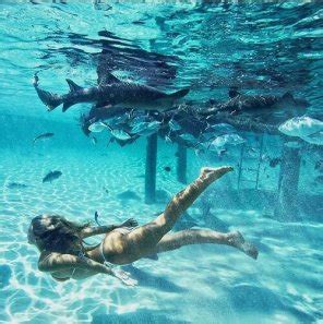 Swimming With The Sharks Porn Pic
